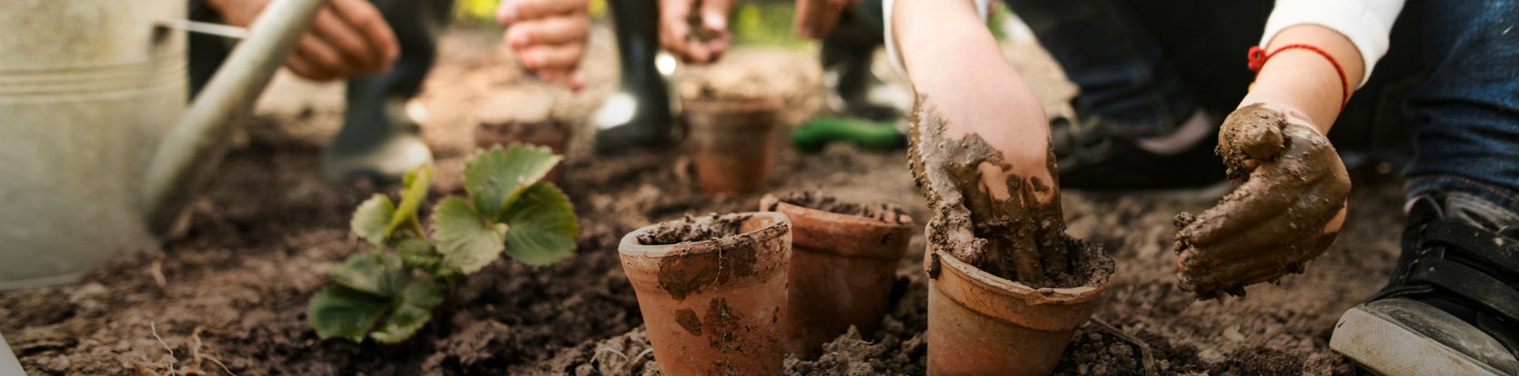 hands in potting soil planting plants